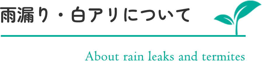 雨漏り・白アリについて